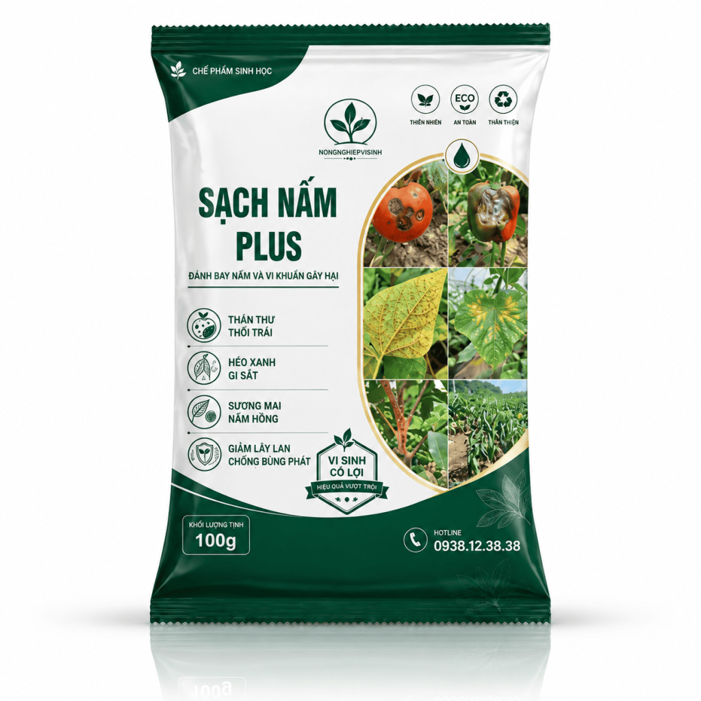 Túi Sạch Nấm Plus 100 g trên nền trắng