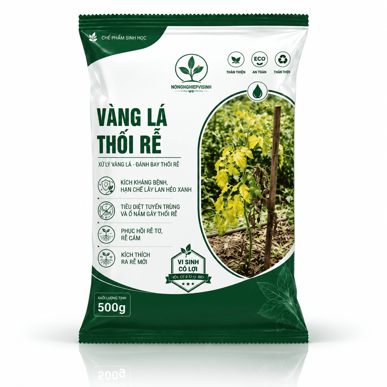 Túi Vàng Lá Thối Rễ 500 g trên nền trắng